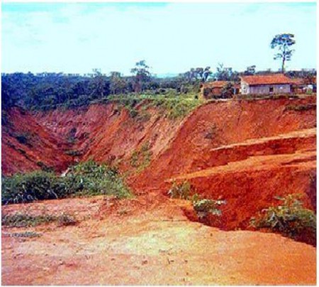 Práticas de Combate a Erosão